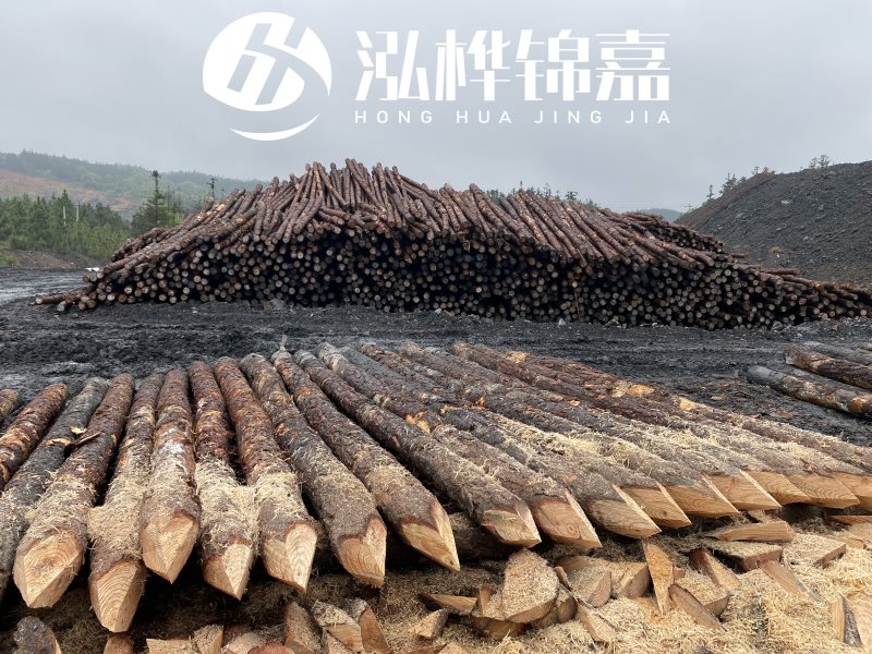 6米長(zhǎng)松木樁有哪些作用，多少錢一根？