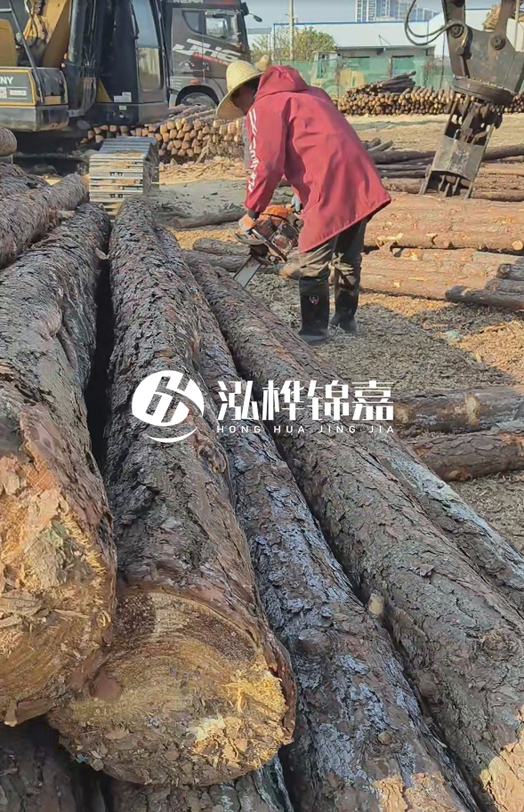 長(zhǎng)沙打樁木批發(fā)廠家在哪里？聯(lián)系方式是什么？
