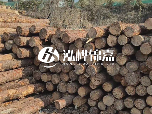 落葉松木材的主要產(chǎn)地在哪里？為什么比其他松木更耐腐蝕？