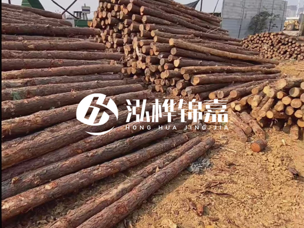 河道木樁施工遇到淤泥怎么辦？打多深才能防沖刷？