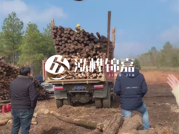 防腐木樁價(jià)格比普通木樁貴多少？防腐木樁有哪些處理方式？