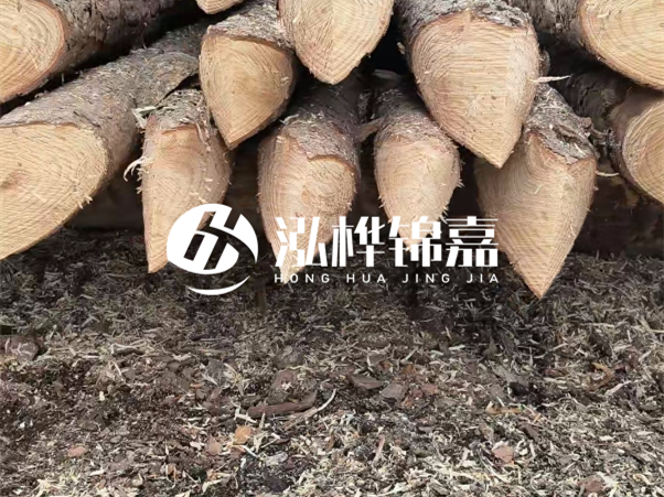 打樁木樁與鋼樁相比有哪些優(yōu)缺點(diǎn)？如何進(jìn)行后期維護(hù)？