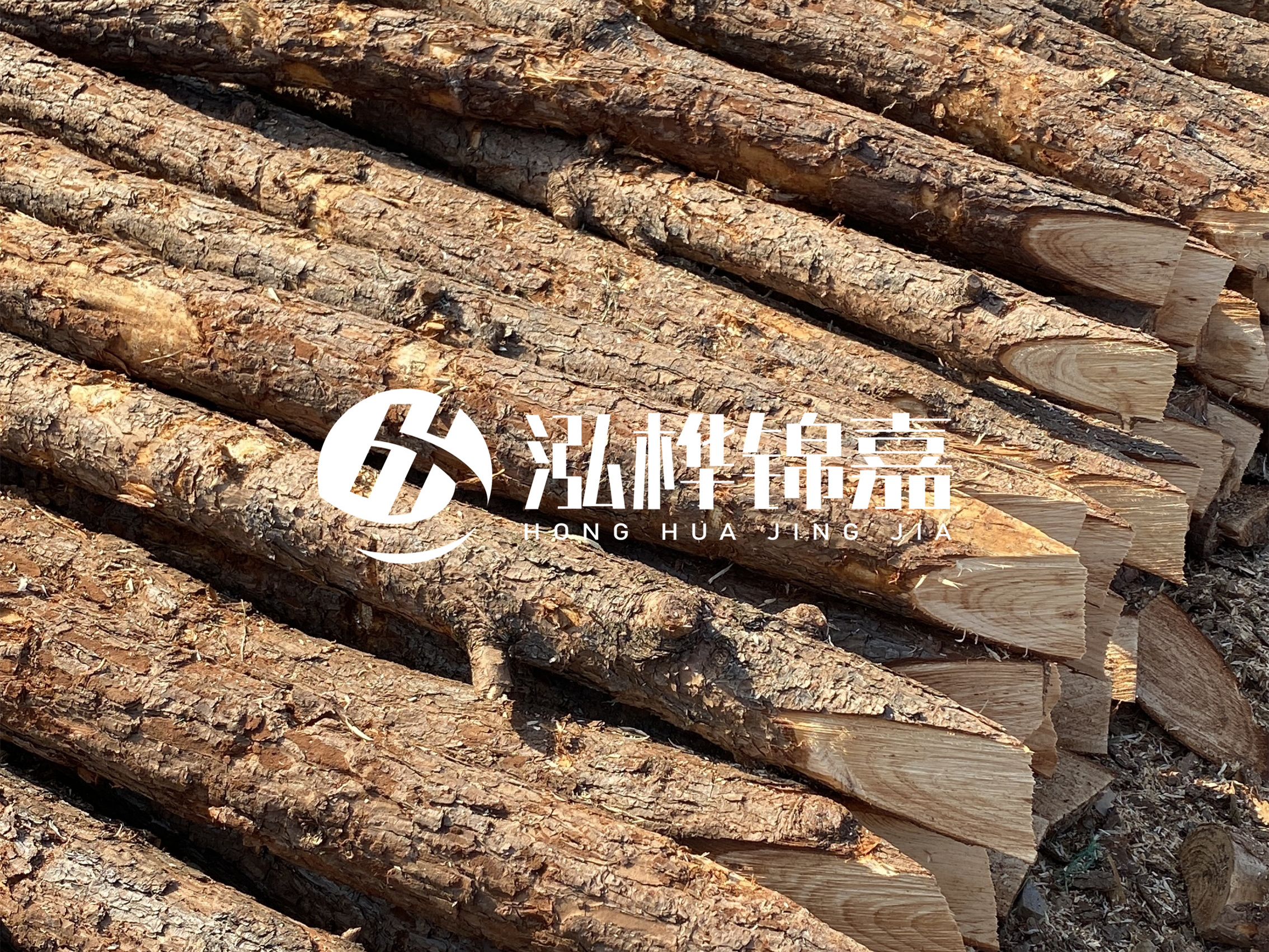 8 米超大直徑松木樁的價格是多少？帶皮和去皮松木樁價格差多少？