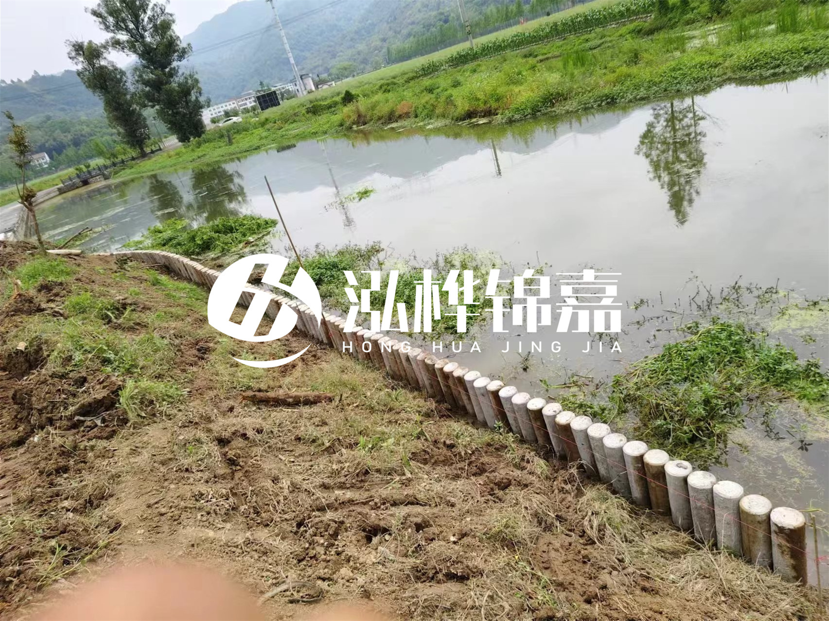 松木樁加固河道與水泥樁對比如何？哪一種更加適合您？