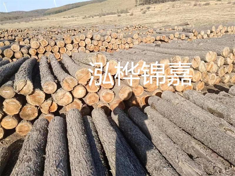 鹽城松木樁河道圍堰施工，保護生態(tài)環(huán)境，打造美麗城市